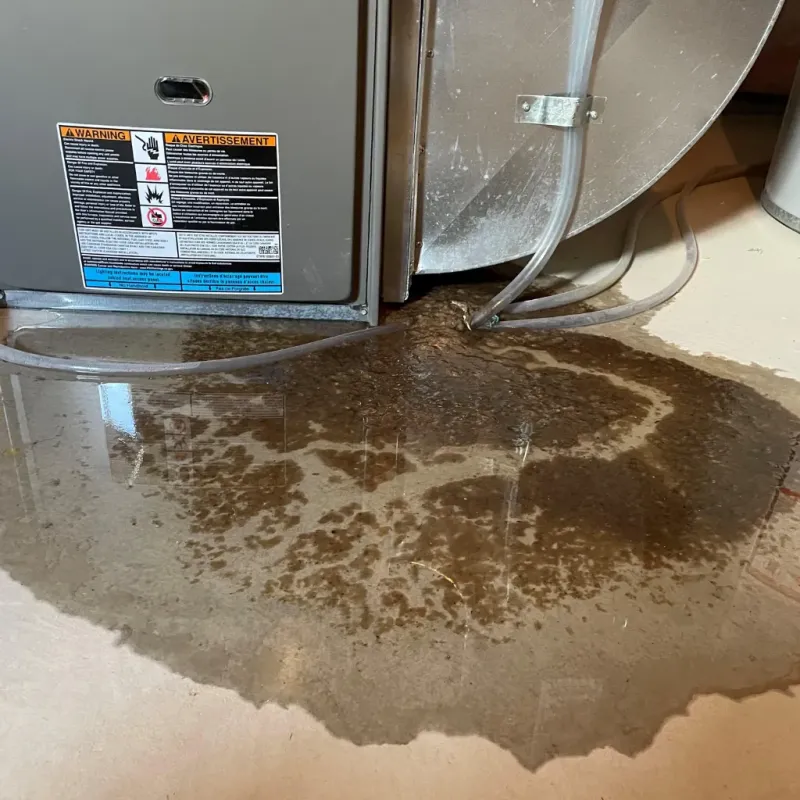 Appliance Leak Cleanup in Indian Heights, IN